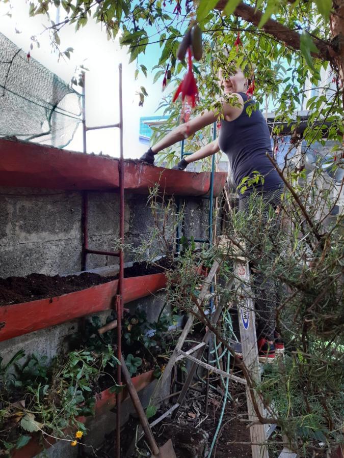 Airesbuenos Hostel Y Permacultura Valdivia Esterno foto